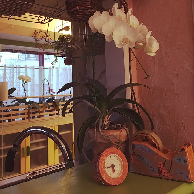 kimishigureさんの実例写真