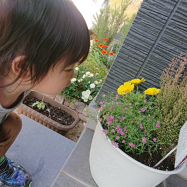 ri-eさんの部屋