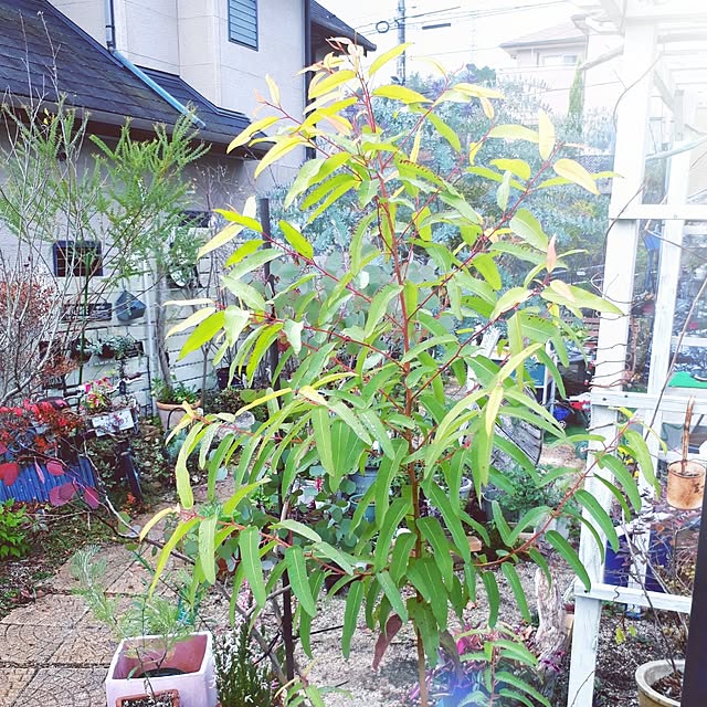 min_nimさんの実例写真