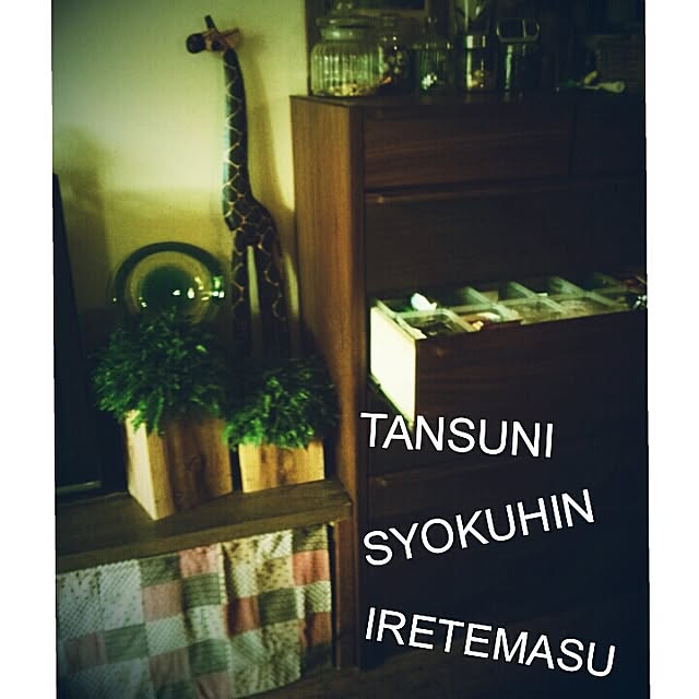 ayuさんの実例写真