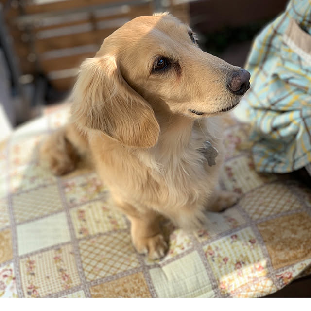 ronronさんの実例写真