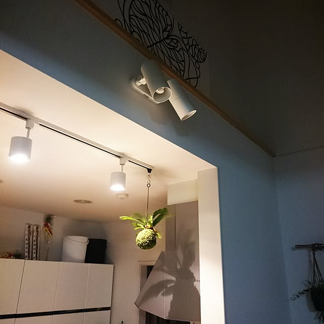 yuyukikiさんの実例写真