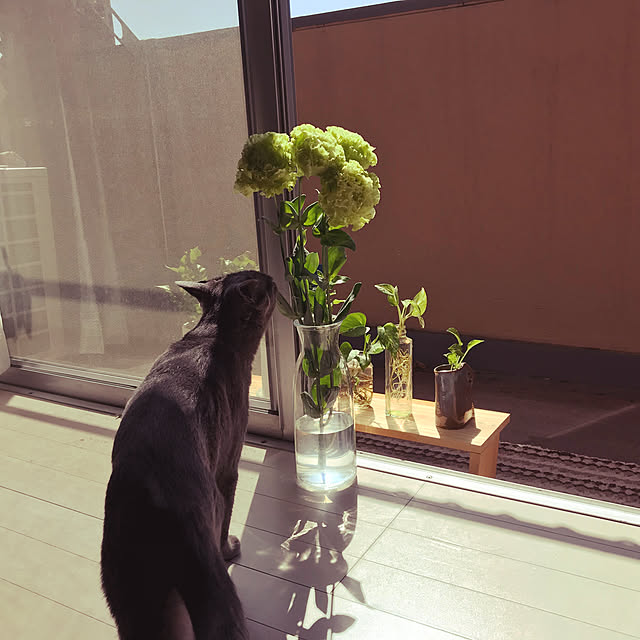 73さんの実例写真