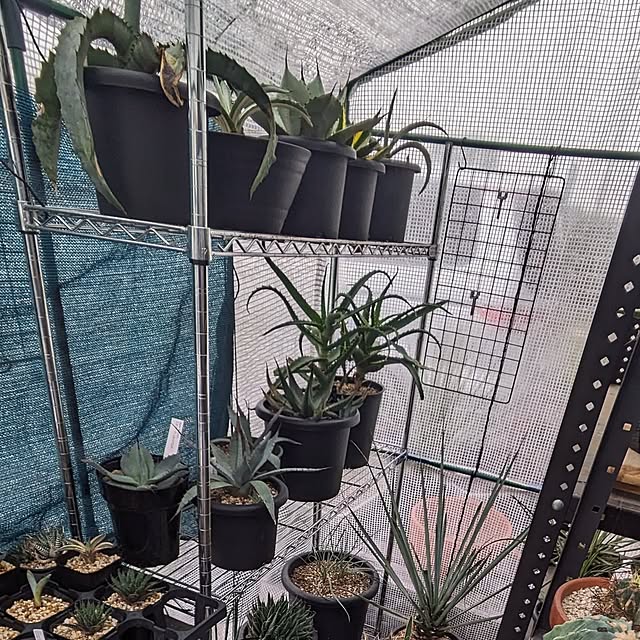 ot-gardenさんの部屋