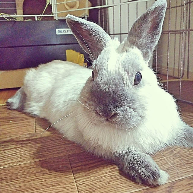 makiさんの実例写真