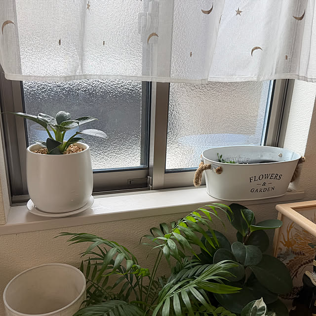 natsumiさんの部屋