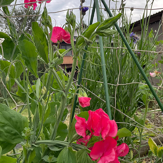 natsumiさんの部屋