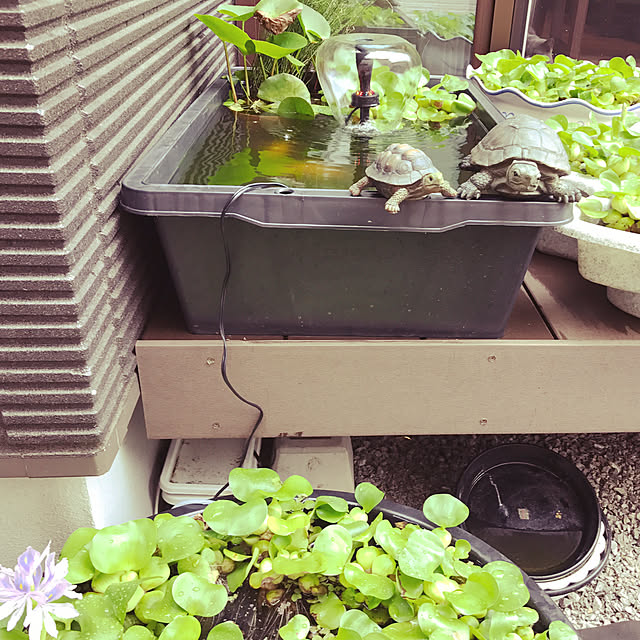 tadatomoさんの実例写真