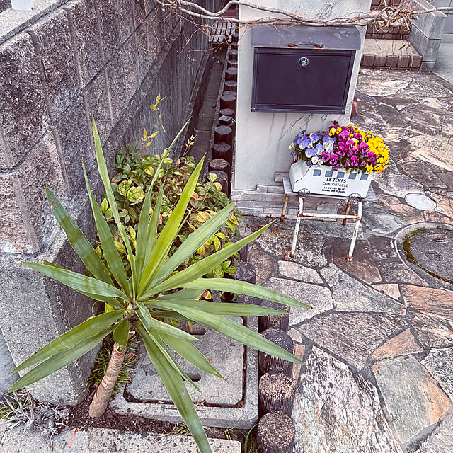 ayayayayaさんの実例写真