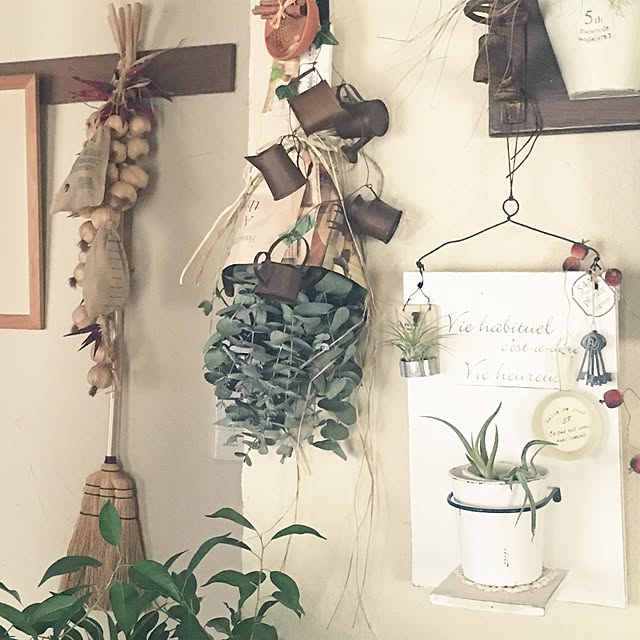 chabo0395さんの実例写真