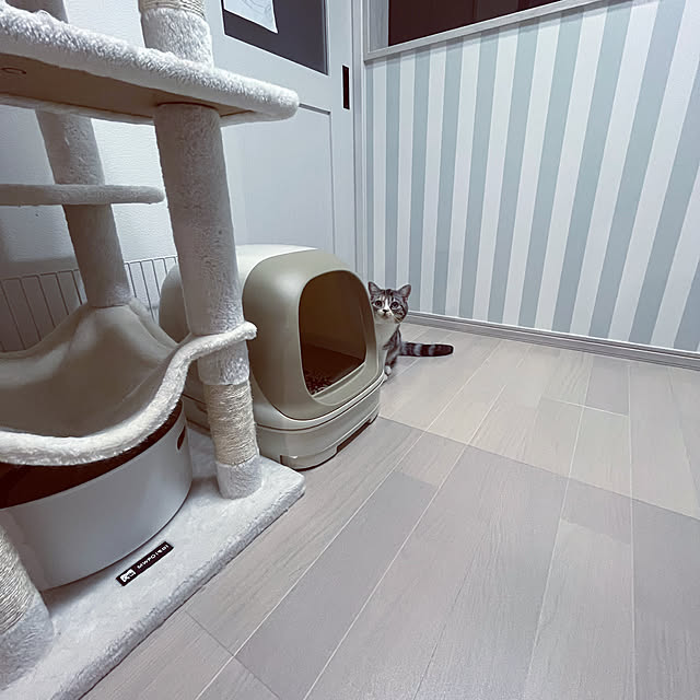mouseさんの実例写真