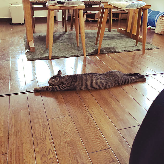 kuzumeganeさんの実例写真