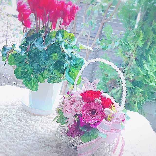 xigyanさんの実例写真