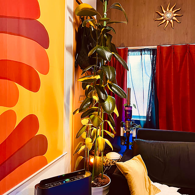 zacさんの実例写真