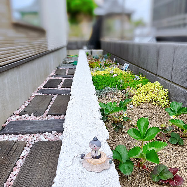 ガーデニングが好き/花壇 手作り/中庭のある家/ガーデニング雑貨/いいね！ありがとうございます♪...などのインテリア実例 - 2023-04-25 16:56:02