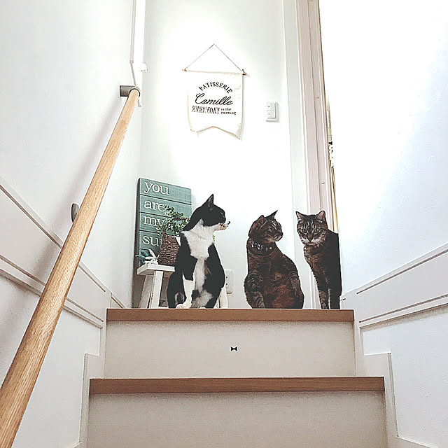 lovecatさんの実例写真