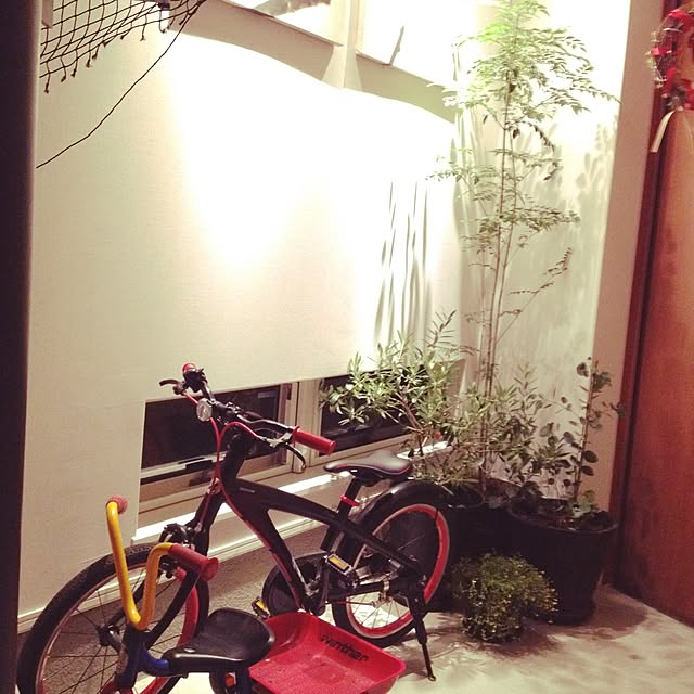 mikimoko38さんの実例写真