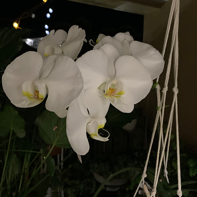 Aqettyさんの部屋