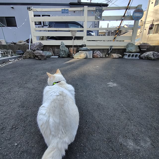 nrsim+kmymさんの実例写真