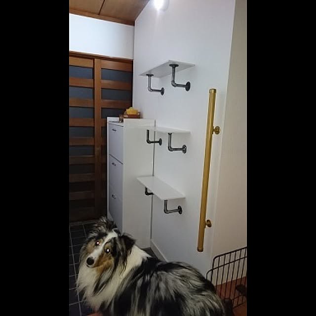 okuyukiさんの実例写真