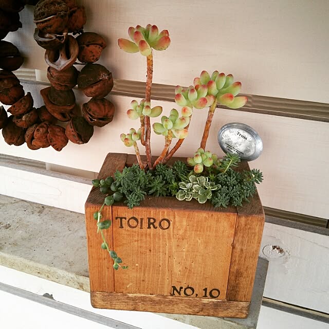 Toiroさんの実例写真