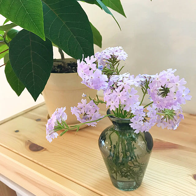 skyukaさんの実例写真
