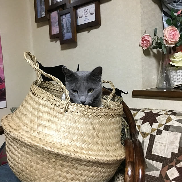 tsubonecoさんの実例写真