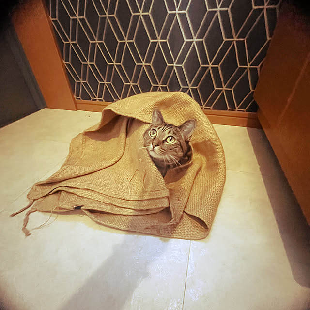 Mさんの実例写真