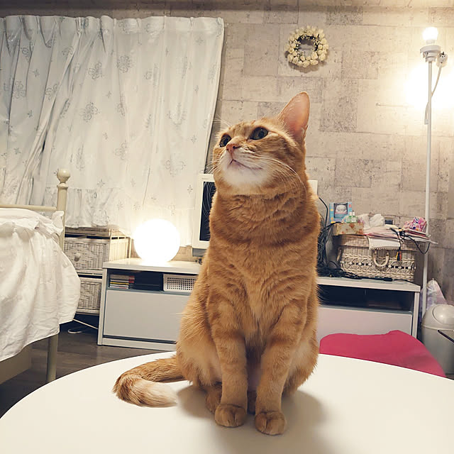 asuminさんの実例写真