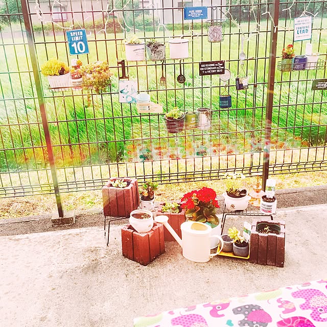 MASAさんの実例写真