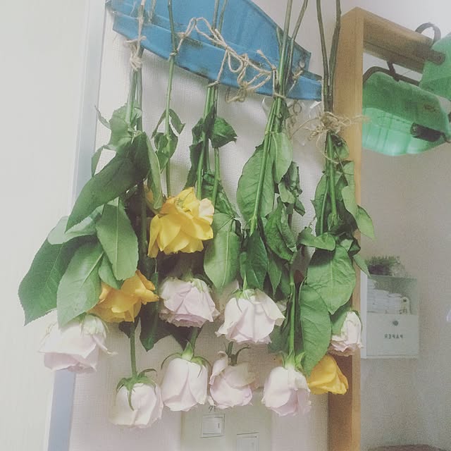 ayaKawasakiさんの実例写真