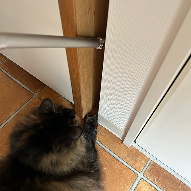 mikomaruさんの部屋