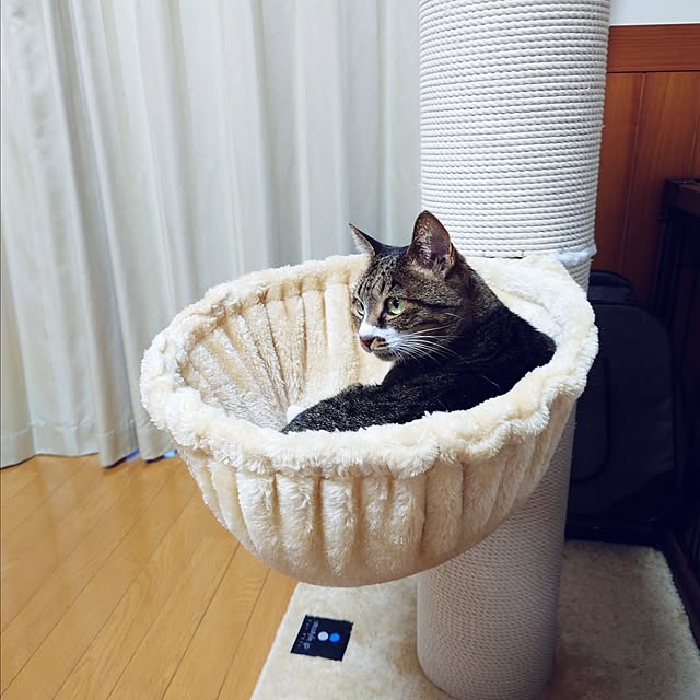nachiさんの実例写真