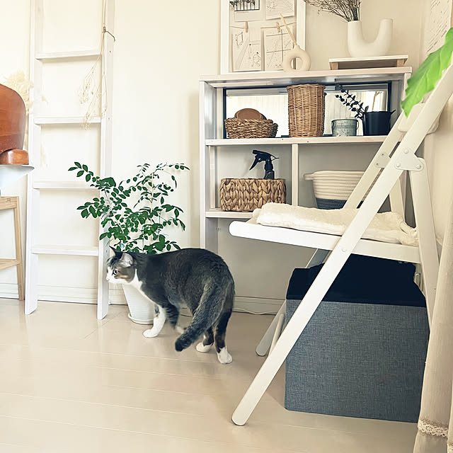 nekomiさんの実例写真