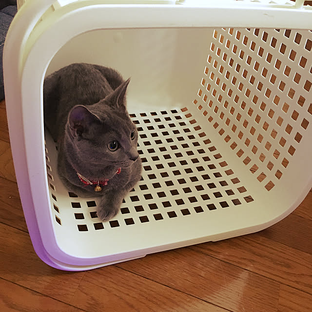 kyonさんの実例写真