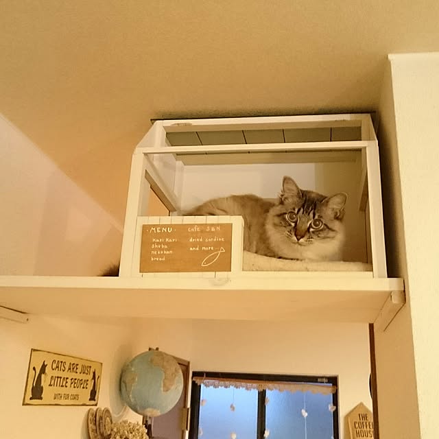 kazaneさんの実例写真