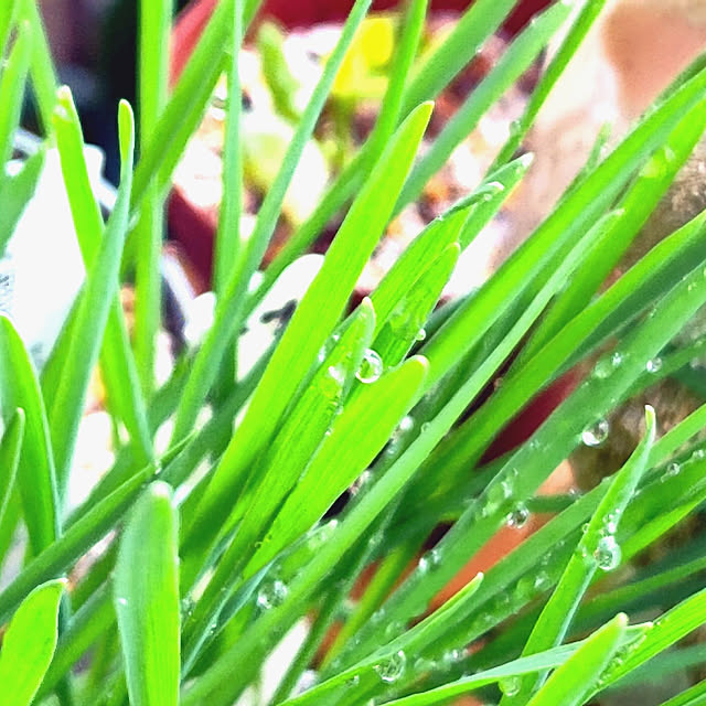 mariaさんの実例写真
