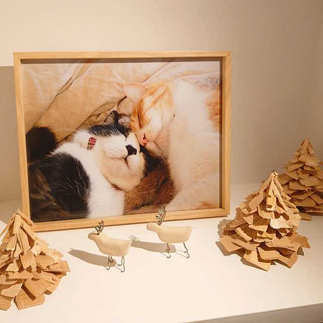 yoko_nishijimaさんの実例写真