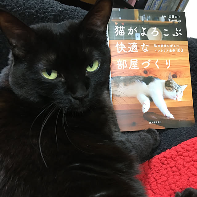 kirakirahoshiさんの実例写真