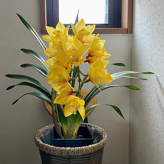 yamaeさんの部屋