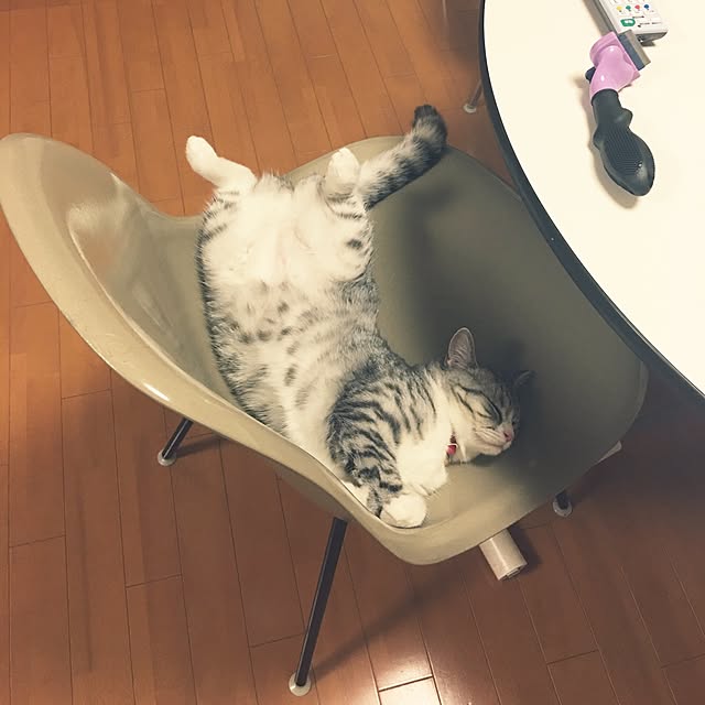 Shojiさんの実例写真