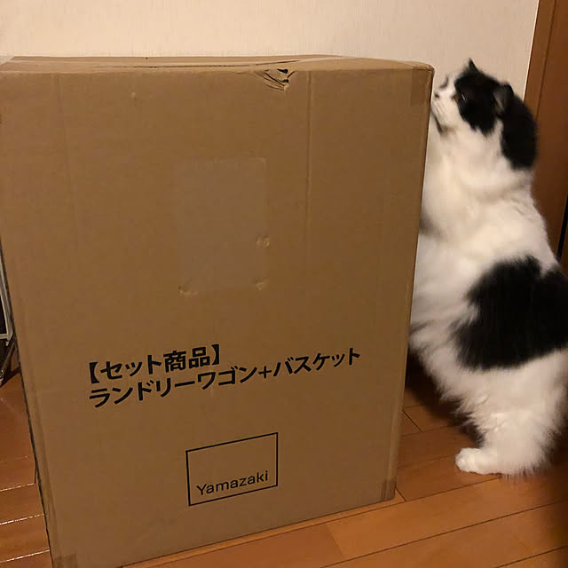reonさんの実例写真