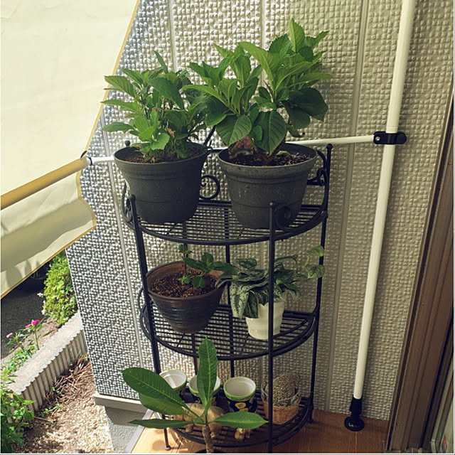 yukarin-gardenさんの実例写真