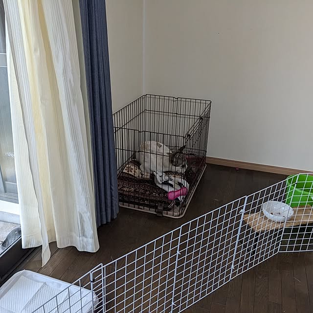 asaさんの部屋