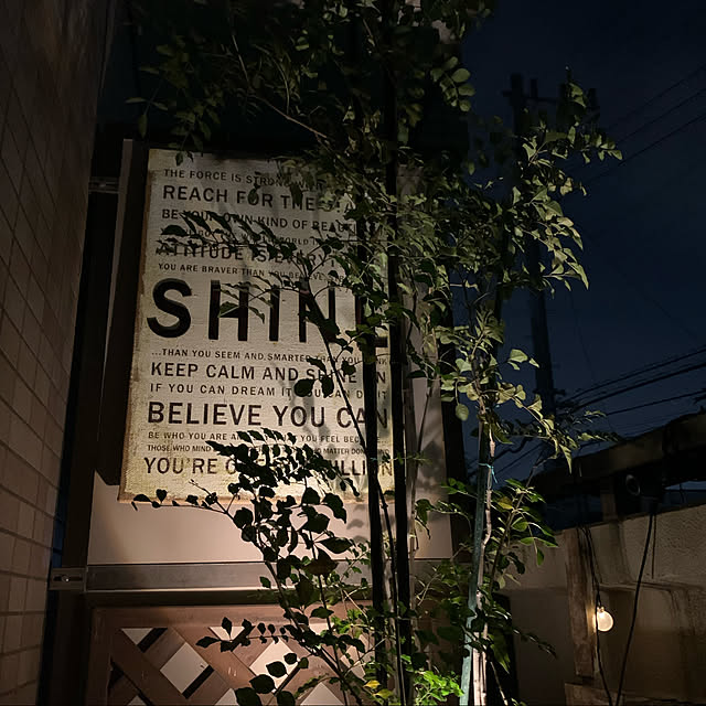 ange0919さんの実例写真