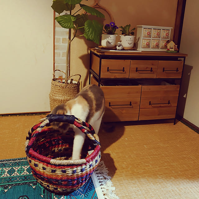 fukuさんの実例写真
