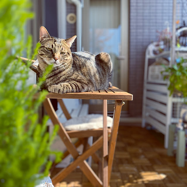manekiさんの実例写真