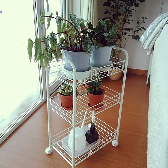 hiromiさんの実例写真