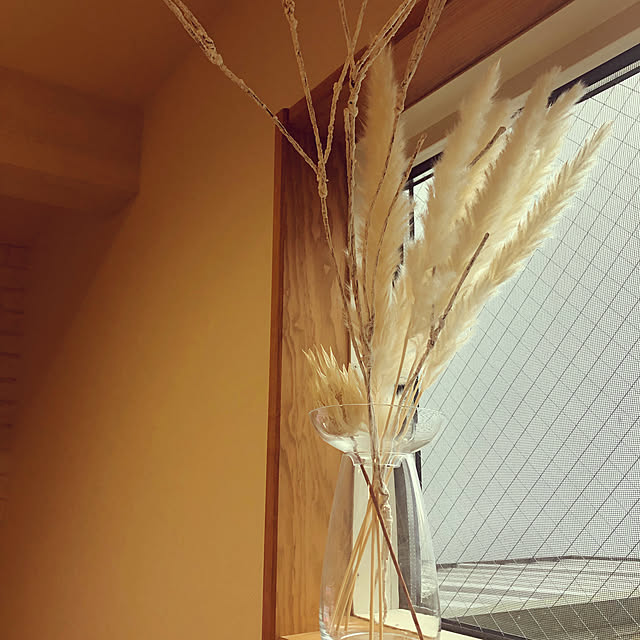 megu123さんの実例写真