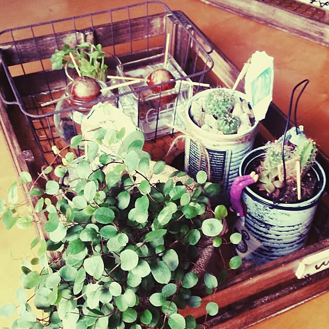 andante365さんの実例写真